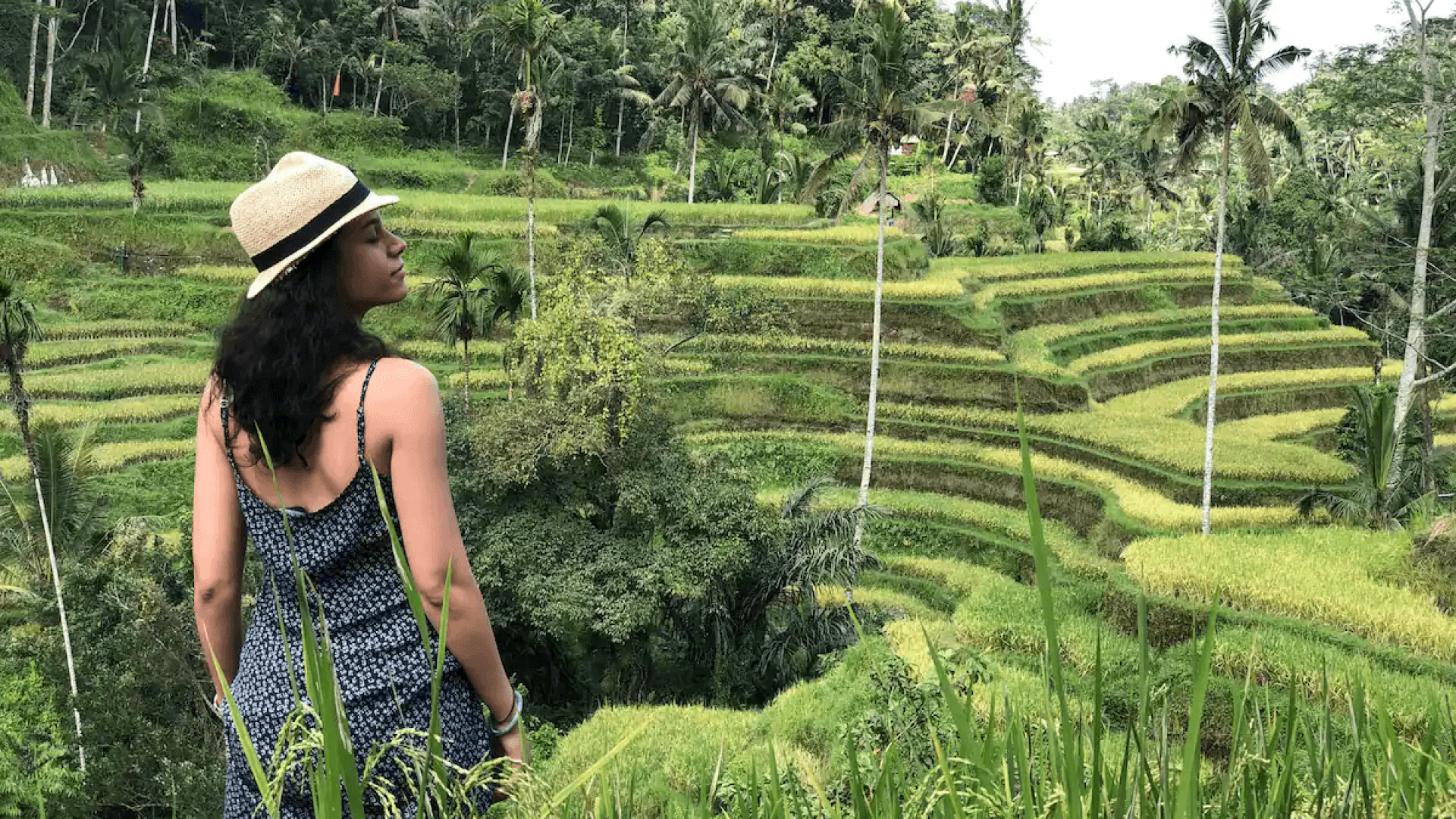 Tegallalang Rice Terrace