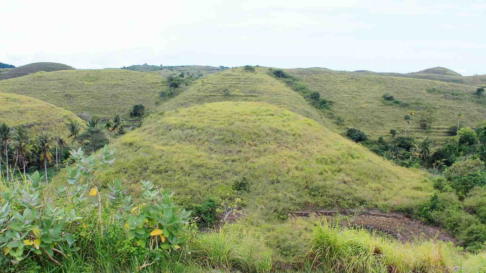 Teletubbies Hills